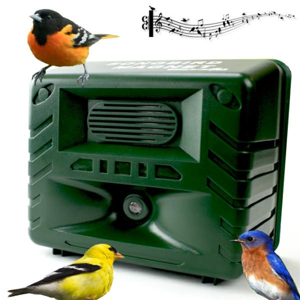 Backyard Birding |  Electronic Songbird Magnet Bird Caller Backyard Birding Backyard Birding