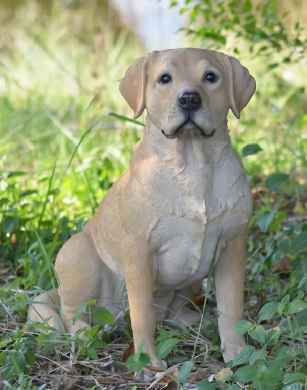 Garden Accents |  21" Labrador Retriever "Ultra-Realistic" Garden Garden Accents