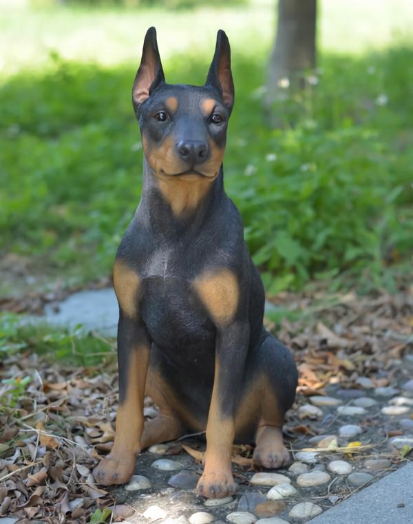 Garden Accents |  24" Doberman Pinscher "Ultra-Realistic" Garden Garden Accents