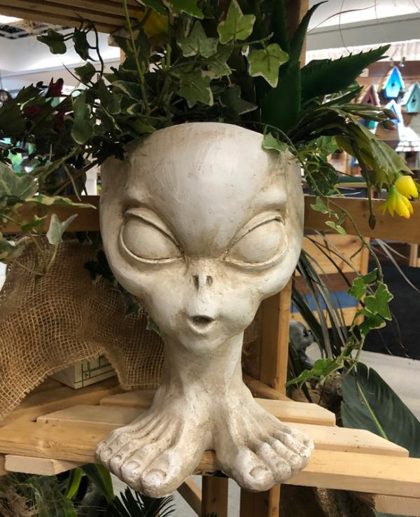 Garden Accents |  Brother "Roswell" Alien Planter – Antique Finish Garden Garden Accents