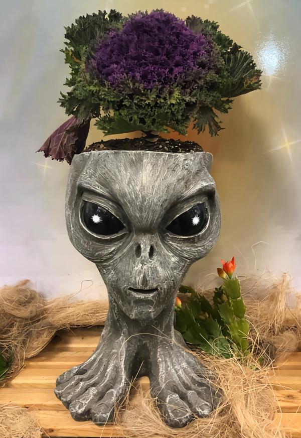 Garden Accents |  Mother "Aurora" Alien Planter – Gray Finish Garden Garden Accents