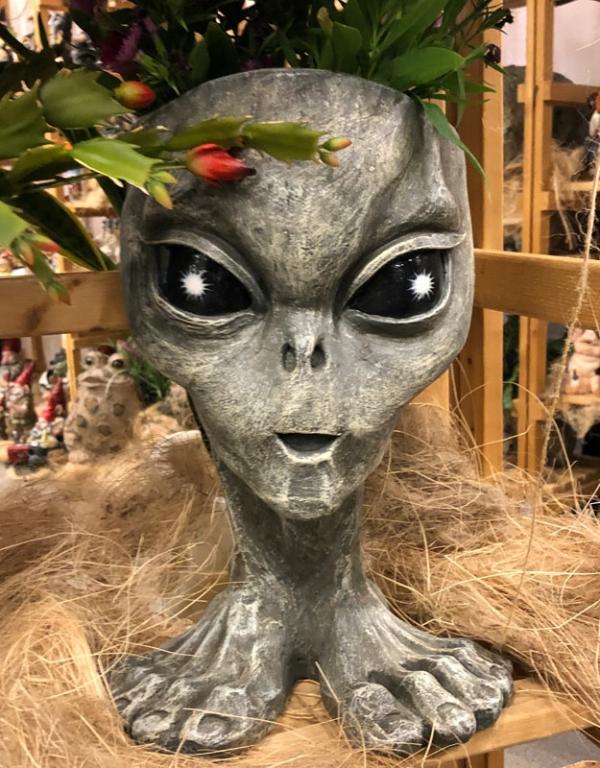 Garden Accents |  Sister "Zoe" Alien Planter – Gray Finish Garden Garden Accents