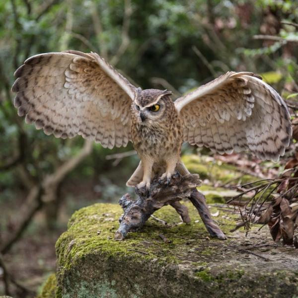 Garden Statues |  Eagle Owl W/Wings Out "Utlra-Realistic" Garden Garden Statues