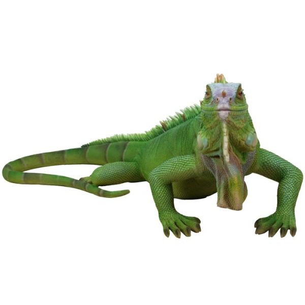 Garden Statues |  Lizard Iguana Statue "Ultra-Realistic" Garden Garden Statues