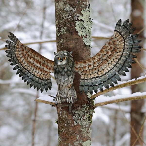 Metal Birds |  Winged Metal Owls With Perch Mounts (Set Of 2) Garden Metal Birds