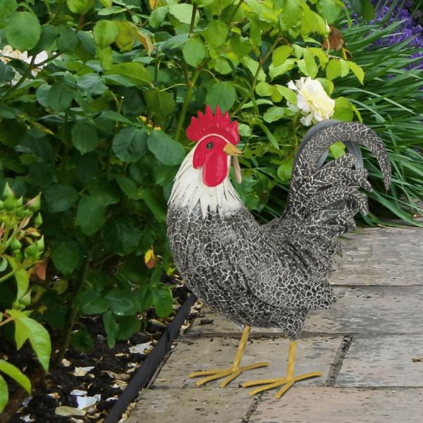 Rooster Decor |  Preening Murray Rooster Garden Rooster Decor