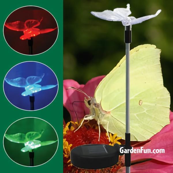 Solar Lighting |  Solar Butterfly Light Stake Garden Garden Stakes