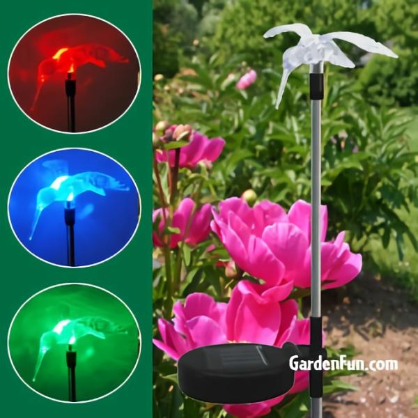 Solar Lighting |  Solar Hummingbird Garden Stake Garden Garden Stakes